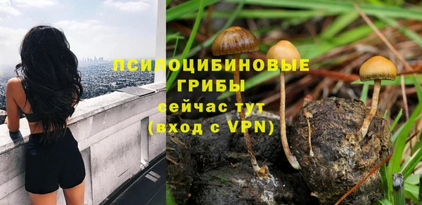 дживик Алексеевка